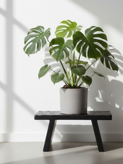 mangohouten bijzettafel/kruk zwart mangohouten bijzettafel/kruk zwart